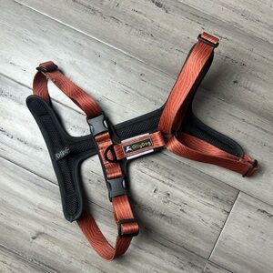 OllyDog Harness- brand new